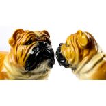A pair of life-sized paint decorated Bulldogs
