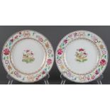 A (Lot of 2) Chinese Export Famille Rose plates