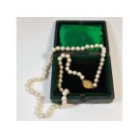 A cultured pearl necklace with Victorian 9ct rose gold clasp set with a possibly, cabochon cut yello