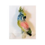 A Karl Ens porcelain cockatoo