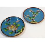 A pair of Chinese cloisonné enamel dishes decorate