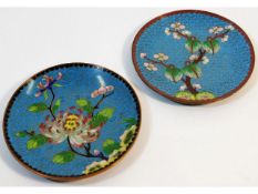 A pair of Chinese cloisonné enamel dishes decorate