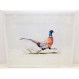 A framed original watercolour of running pheasant