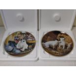 Thirteen Banbury Mint Jack Russel related plates