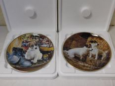 Thirteen Banbury Mint Jack Russel related plates