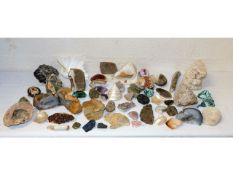 A quantity of mixed rocks, stones, shells & fossil