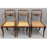 Three early 19thC. Regency period Gillows style rosewood sabre legged dining chairs with cane seats,