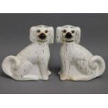 A pair of Victorian Staffordshire pottery dogs wit