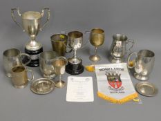 A quantity of various bowls trophies, including si