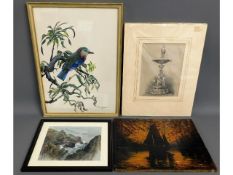 A framed watercolour of bird by Martin W. Woodcock