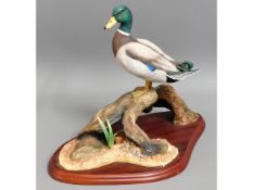 A large Border Fine Arts Mallard Water Fowl with b