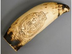 A resin copy of a scrimshaw worked whale tooth, 6i