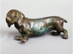 A Victorian bronze Basset hound dog, 3in long x 1.