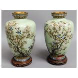 A pair of good quality 19thC. Oriental cloisonné enamelled vases with birds & trees on celadon groun