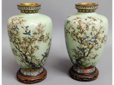 A pair of good quality 19thC. Oriental cloisonné enamelled vases with birds & trees on celadon groun