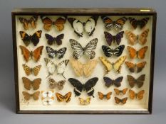 An early/mid 20thC. cased collection of butterflie
