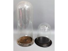 Two Victorian glass domes, tallest 18in