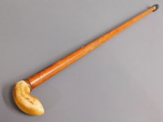 An 19thC. child's Malacca cane & ivory walking sti