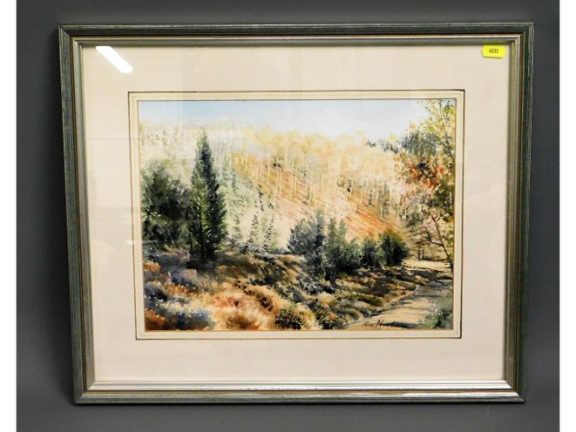 A framed watercolour of "Dappled Light at Gunnisla