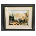 A framed watercolour of "Dappled Light at Gunnisla