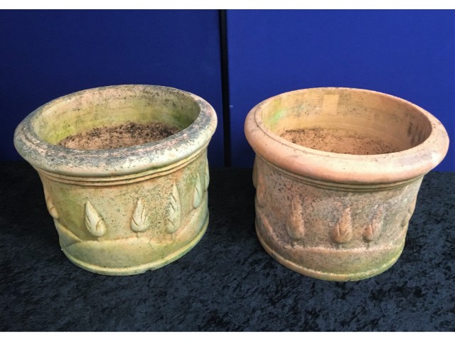 Two decorative terracotta garden pots with tree de