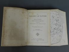 Book: Gallery of Nature, A Pictorial & Descriptive