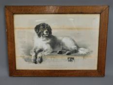 An oak framed Edwin Landseer print of dog, 23.75in