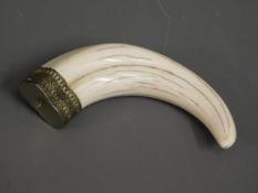 A mounted warthog tusk 4.5in long