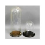 Two Victorian glass domes, tallest 18in