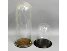 Two Victorian glass domes, tallest 18in