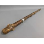 A knobbly walking cane with silver collar inscribe
