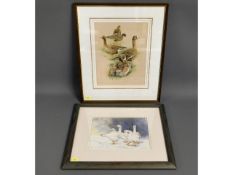 A Fred Clarke watercolour of ducks, image size 13i