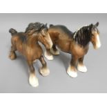 Two Beswick shire horses, tallest 8.5in