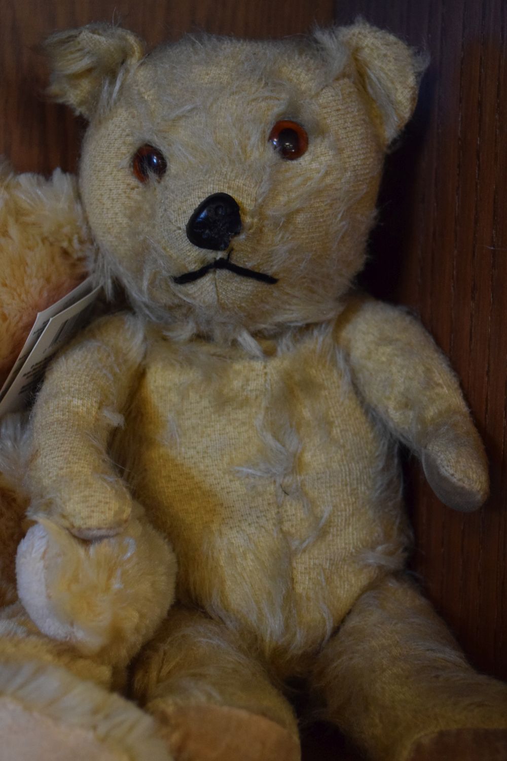 Quantity of vintage and modern golden mohair children's teddy bears Condition: The two vintage teddy - Image 5 of 6