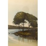 After John McNulty - Artists proof lithograph - Lakeside trees II, 55.5cm x 36cm, framed and glazed,