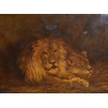 After Sir Edwin Landseer - Oil on canvas - The Lions being a study of a resting lion and lioness,