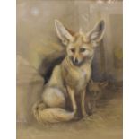 Sheila Armstrong - Pastel - Fennec Fox, monogrammed lower left, 44.5cm x 35.5cm Condition: **General