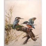 After Edwin Penny - Pair of signed limited edition prints - Kingfishes and Goldfinches, published in