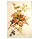 Early 20th Century painting on white glass, leaves and berries, 34cm x 24cm, in gilt frame