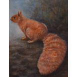 James Allen - Watercolour with bodycolour - Woodland Red Squirrel, framed and glazed, 20cm x 15cm
