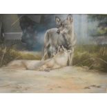 Joel Kirk - Pastel - Wolves resting, signed lower right, 42cm x 57cm, framed and glazed