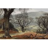Jane Carpanini - Watercolour - Breconshire, signed lower right, 22.5cm x 32.5cm, framed and glazed