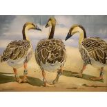 Patricia Scott - Watercolour - Three birds on a beach, 27.5cm x 38.5cm, framed and glazed Condition: