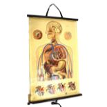 Vintage St John Ambulance anatomical wall chart after J. Teck, 88cm x 61cm Condition: This chart has