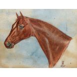 Follower of John Frederick Herring (19th Century) - Watercolour - Study of the head of a horse,