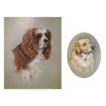 H.C. Babington (Modern) - Two studies of dogs, a King Charles Spaniel and a Gold Retriever, both