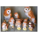 Nine Beswick barn owl figures, together with two Beswick Beatrix Potter 'Old Mr Brown' figure and