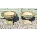 Pair of modern composition stone effect garden urns standing on pedestal bases with dolphin
