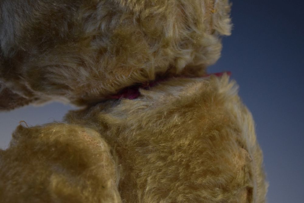 Early 20th Century golden mohair teddy bear, 60cm high Condition: Loss of mohair in places, would - Image 7 of 9