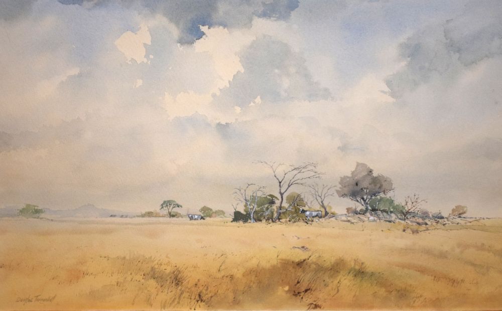 Douglas Tannahill - Watercolour - African landscape, signed lower left, 36cm x 55cm, framed and